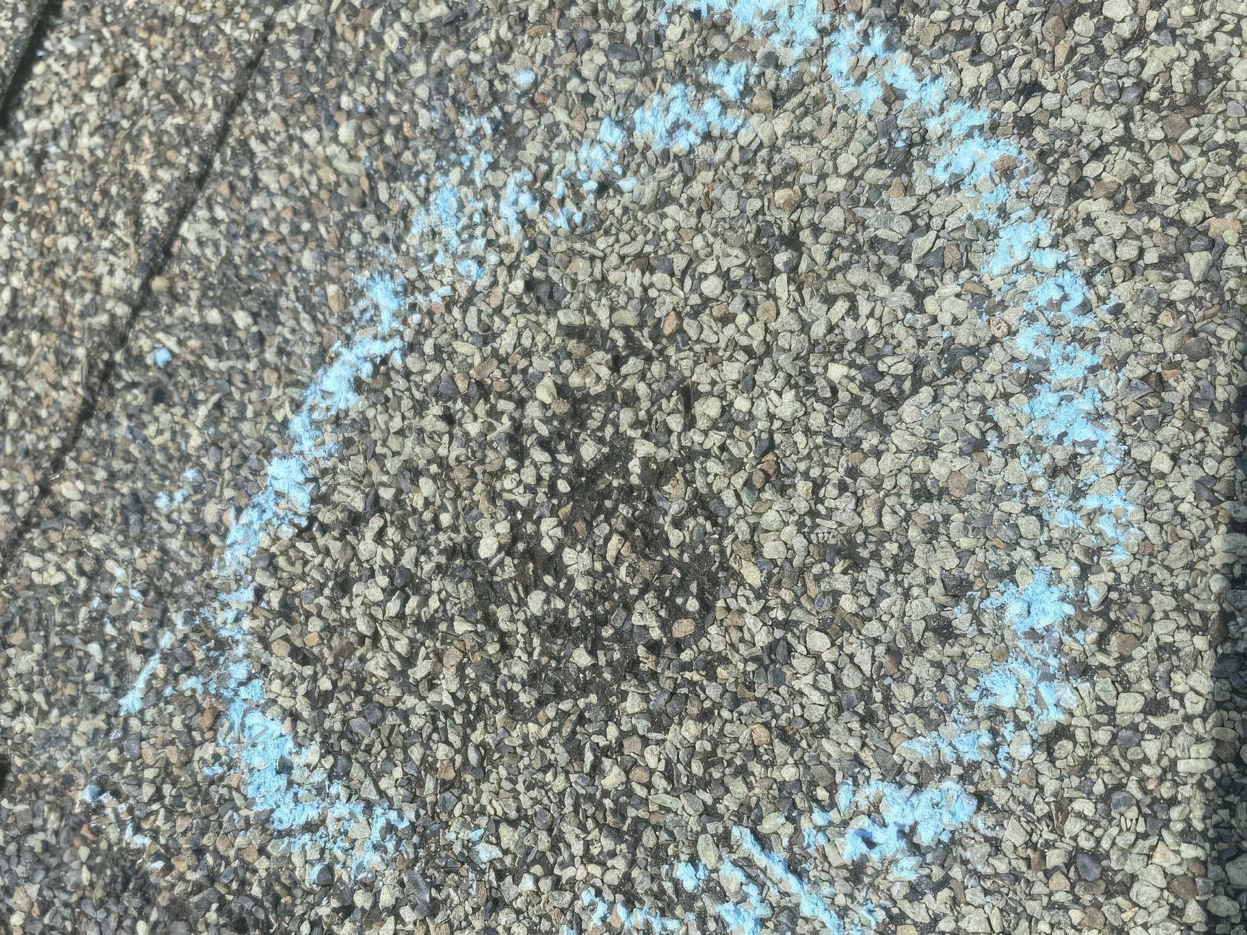 One hail hit on a shingle, close up, circled in blue chalk