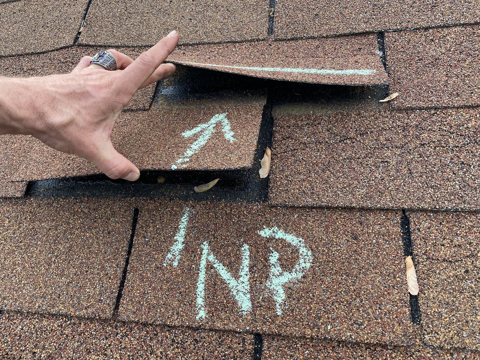 A wind creased shingle lifted by hand to show the break, an arrow chalked beside it